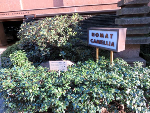 ホーマットカメリア一番町 5