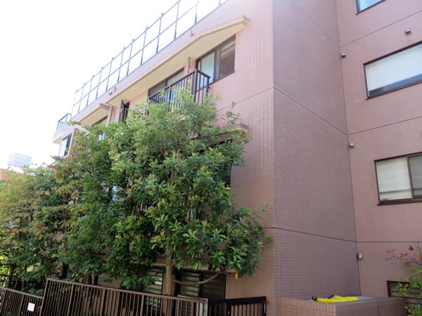 パルティール赤坂 3