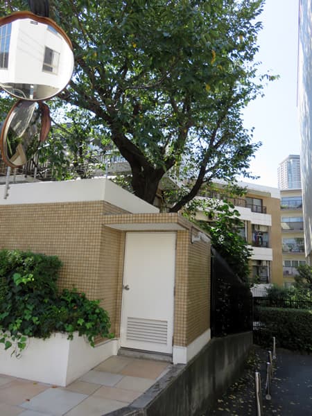 インペリアル赤坂フォラム 6