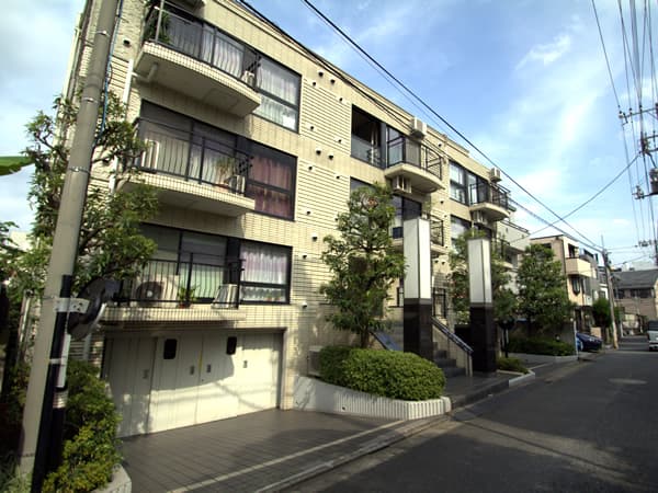 パレドノール 1