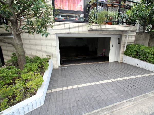 パレドノール 6