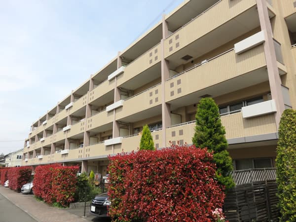 リビオあざみ野ブライティアD棟(ヒルサイドコート) 1