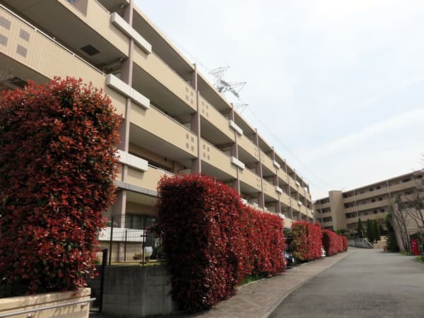 リビオあざみ野ブライティアD棟(ヒルサイドコート) 3