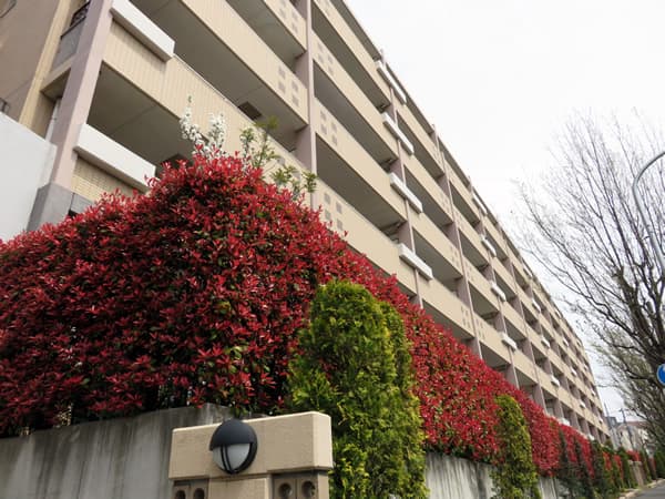 リビオあざみ野ブライティアA棟(フロントコート) 4