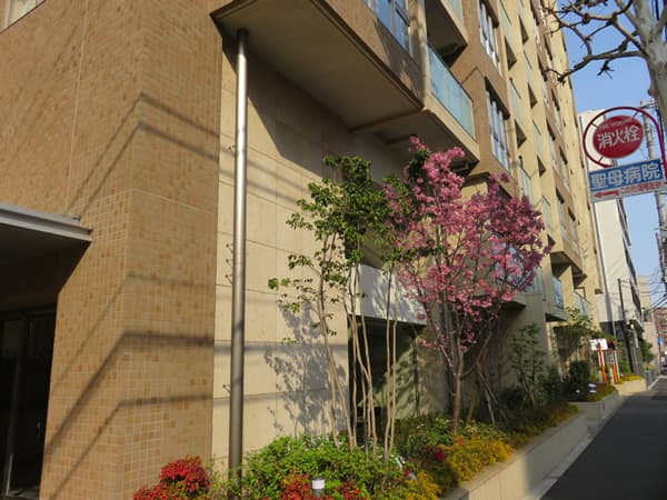 クラッシィハウス新宿中落合 4