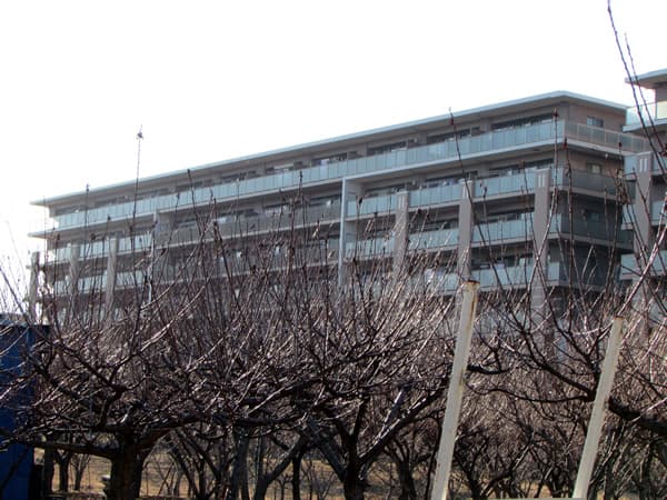 クレヴィア若葉台パークナード五番館 2