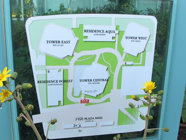 二子玉川ライズタワーウエスト 6