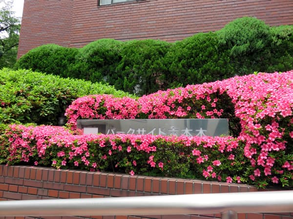 パークサイド六本木 12