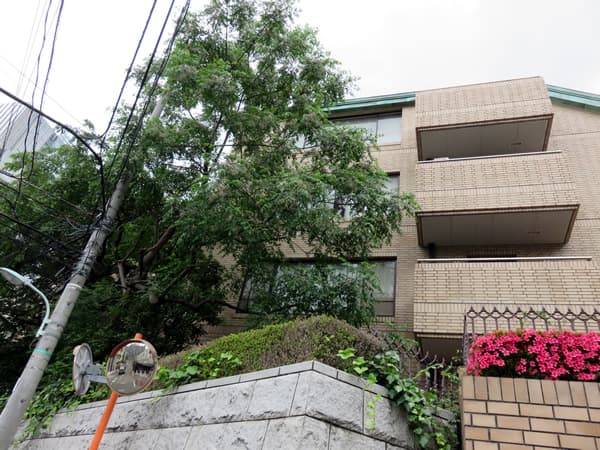 赤坂氷川町パークマンション 10