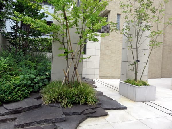 ミッドガーデン赤坂氷川 19