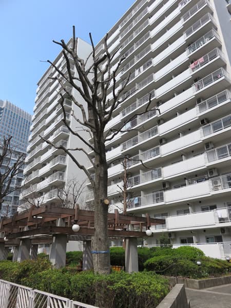 北品川ホームズ 21