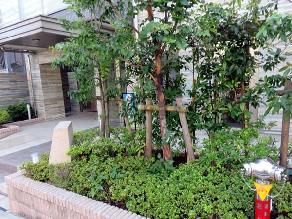 リシャール奥沢 3