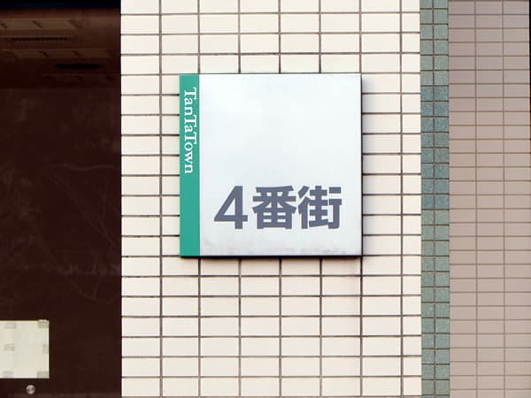 タンタタウンアルボの丘向陽台4番街 4