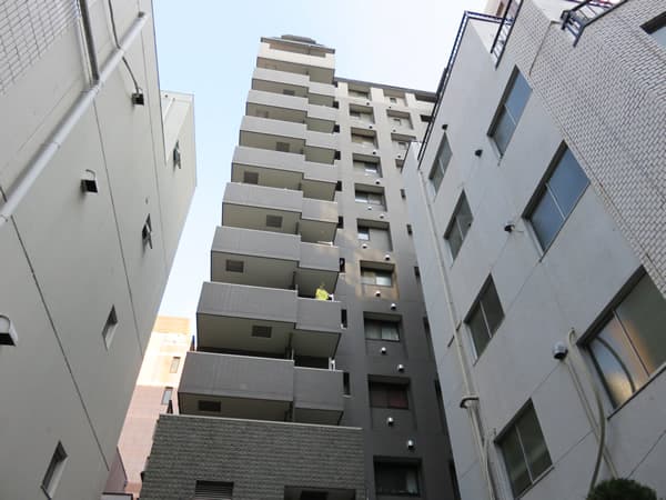 パレステュディオ芝大門 11