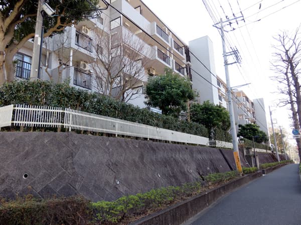 グランヒルズ新百合ヶ丘西館 11