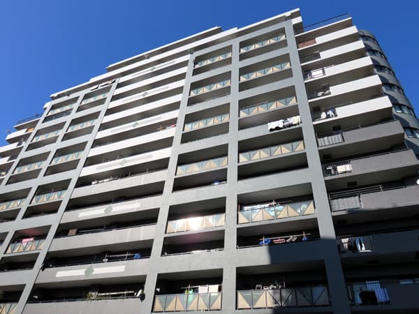 ダイアパレスグランデージ川崎多摩川リバーウイングス 8