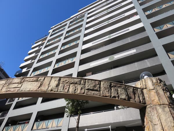 ダイアパレスグランデージ川崎多摩川リバーウイングス 9