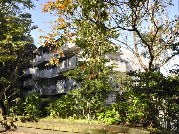 グリーンコーポ篠原第2F棟 2