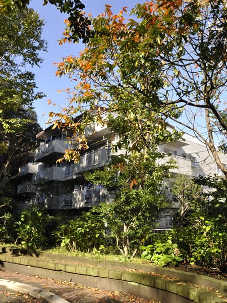 グリーンコーポ篠原第2F棟 3