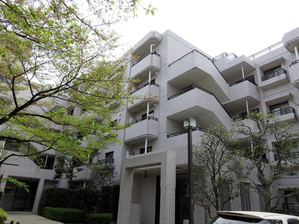 ロビーシティ相模大野5番街16号棟 10