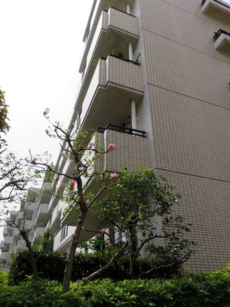 ロビーシティ相模大野5番街15号棟 16