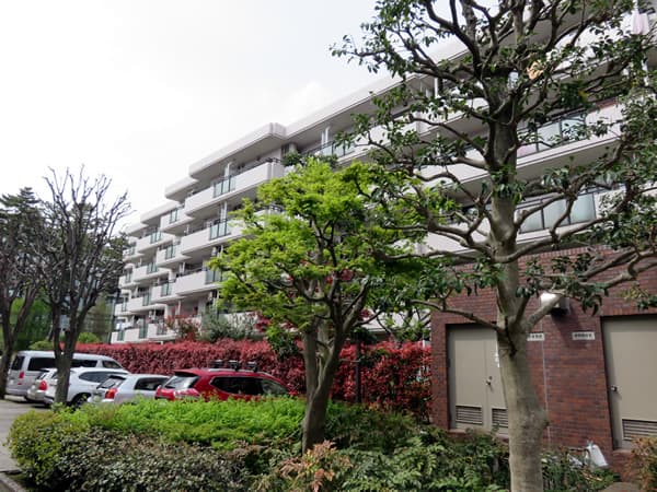 ロビーシティ相模大野5番街13号棟 10