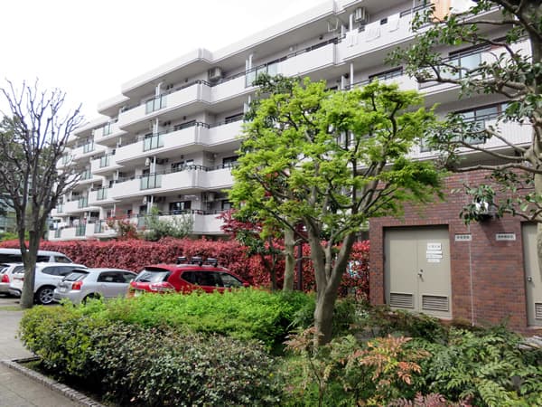 ロビーシティ相模大野5番街13号棟 11