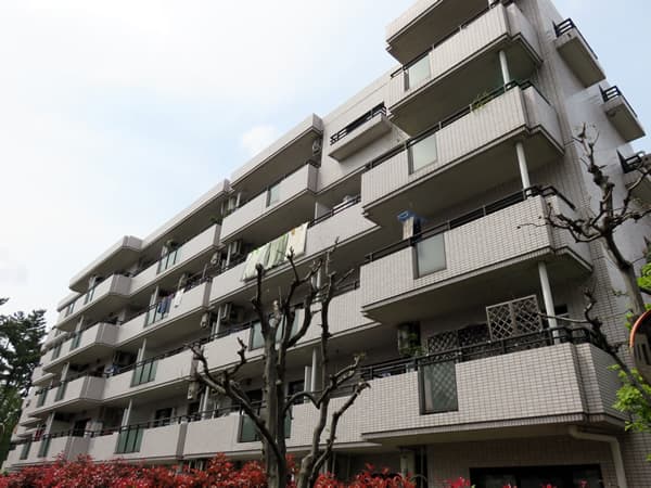 ロビーシティ相模大野5番街12号棟 10