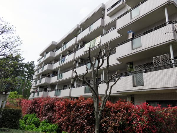 ロビーシティ相模大野5番街12号棟 11