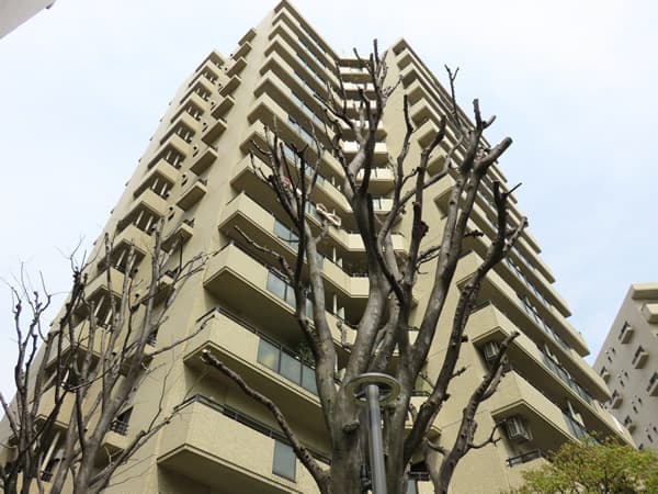 ロビーシティ相模大野5番街9号棟 14