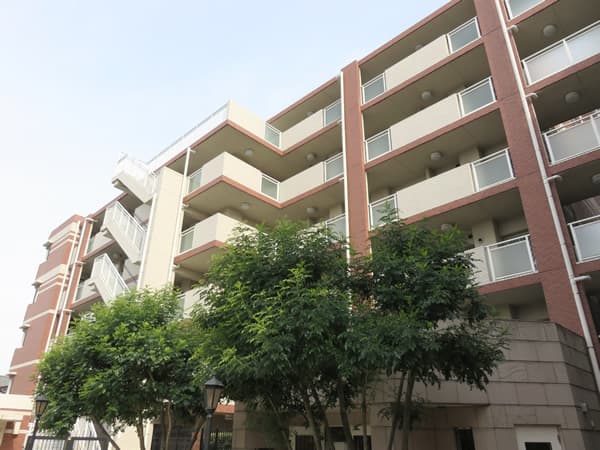 アデニウム町田 16