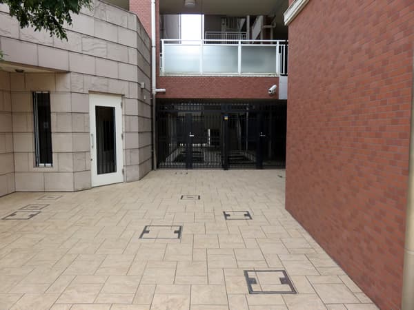 アデニウム町田 18