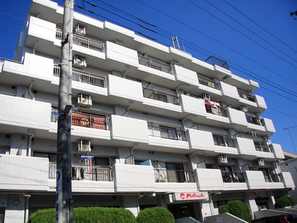 パラスト溝の口 12