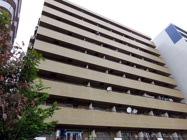 ダイアパレス根岸 8