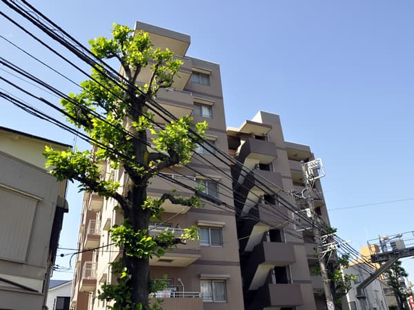 D'クラディア横浜白楽アクティディオ 3