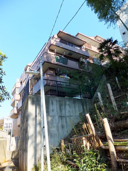 ドメス向ヶ丘遊園ジャルディーノ 7