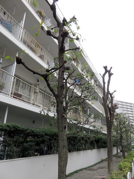 第2サンライズ五反田 2