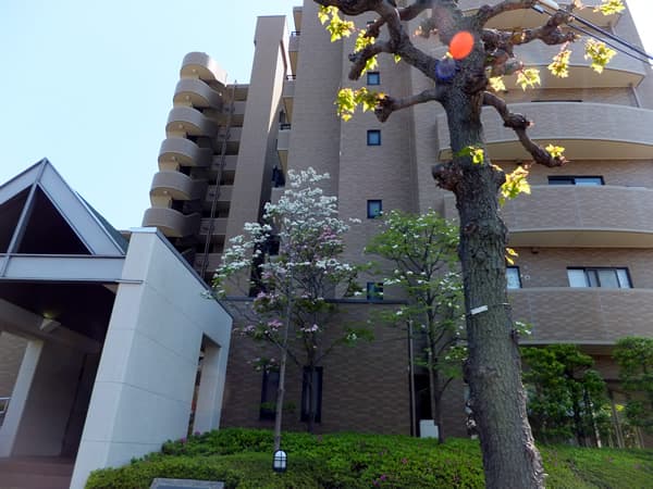 藤和砧公園ホームズ 2