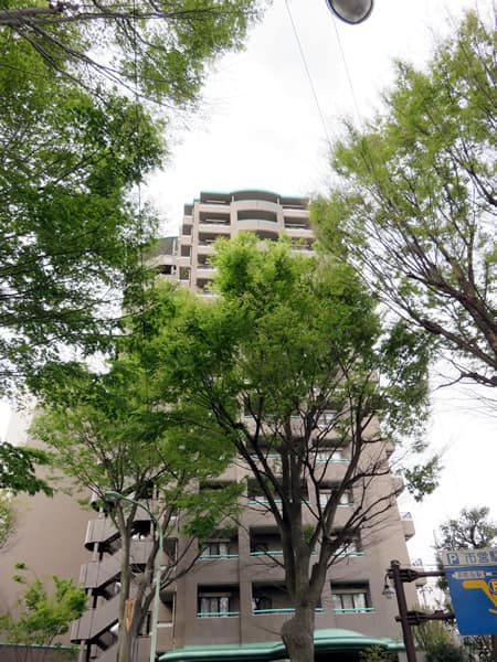 ヴェルデ町田 15