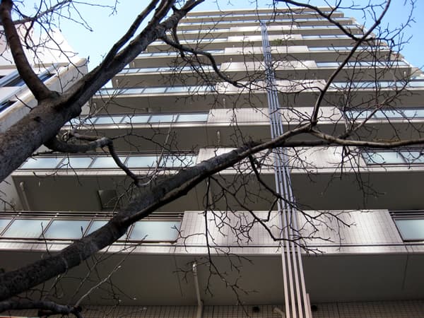 シェルゼ雷門 1