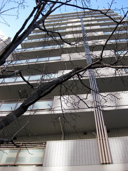 シェルゼ雷門 2