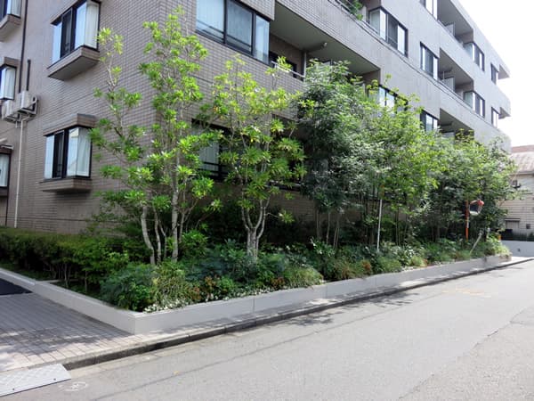 リノグラン東林間ブライト 11