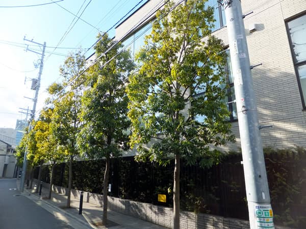 ベリスタ御殿山 3