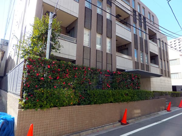 D'クラディアイヴァン高輪 3