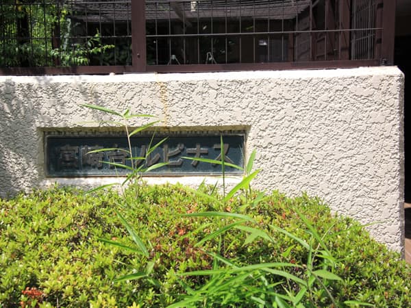 宮崎台ルピナス 14