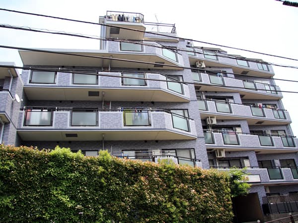 セザール第3梶ヶ谷 12