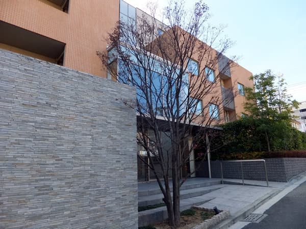 ドレッセたまプラーザマシェリ 13