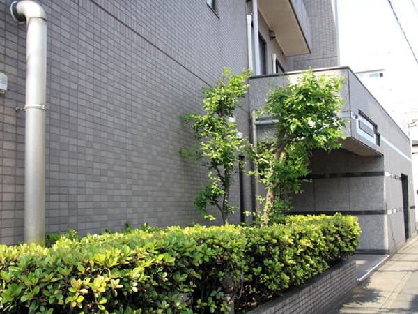 イトーピア梶ヶ谷 18