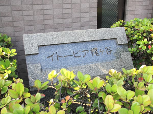 イトーピア梶ヶ谷 20