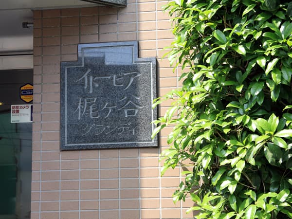 イトーピア梶ヶ谷グランディ 16